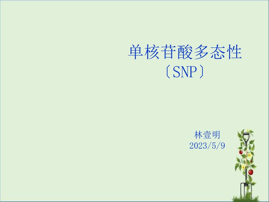 SNP-检测方法_第1页