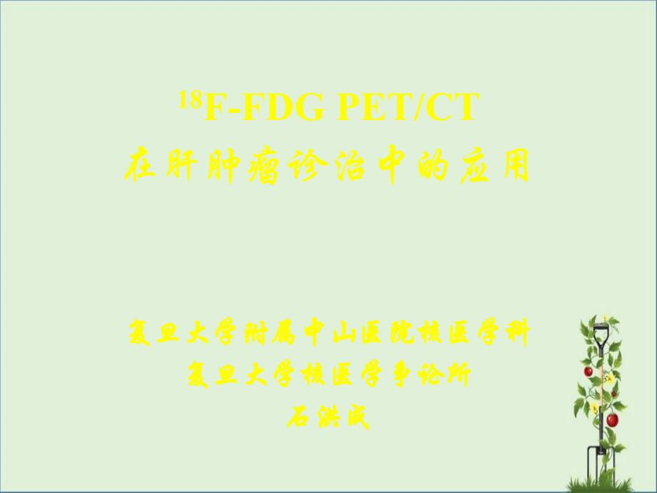 PETCT在肝肿瘤诊治中的应用2_第1页