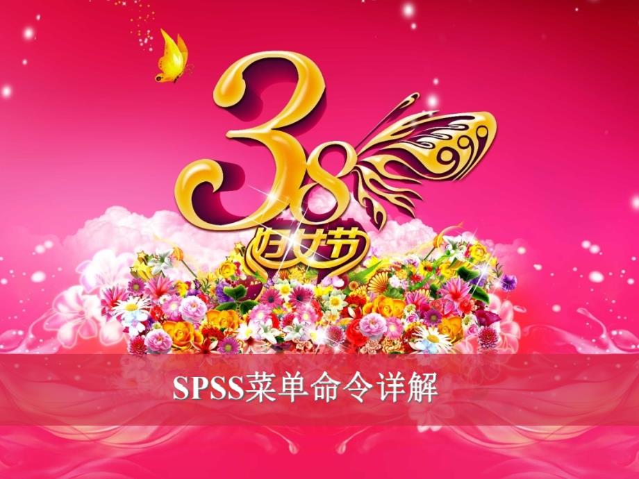 SPSS菜單命令詳解資料_第1頁