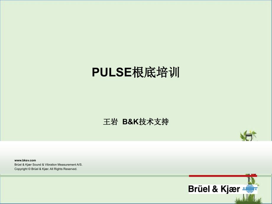 PULSE基础培训资料_第1页