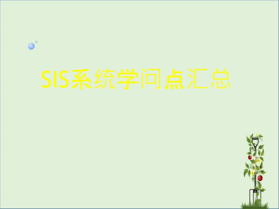 SIS系统小结全解_第1页