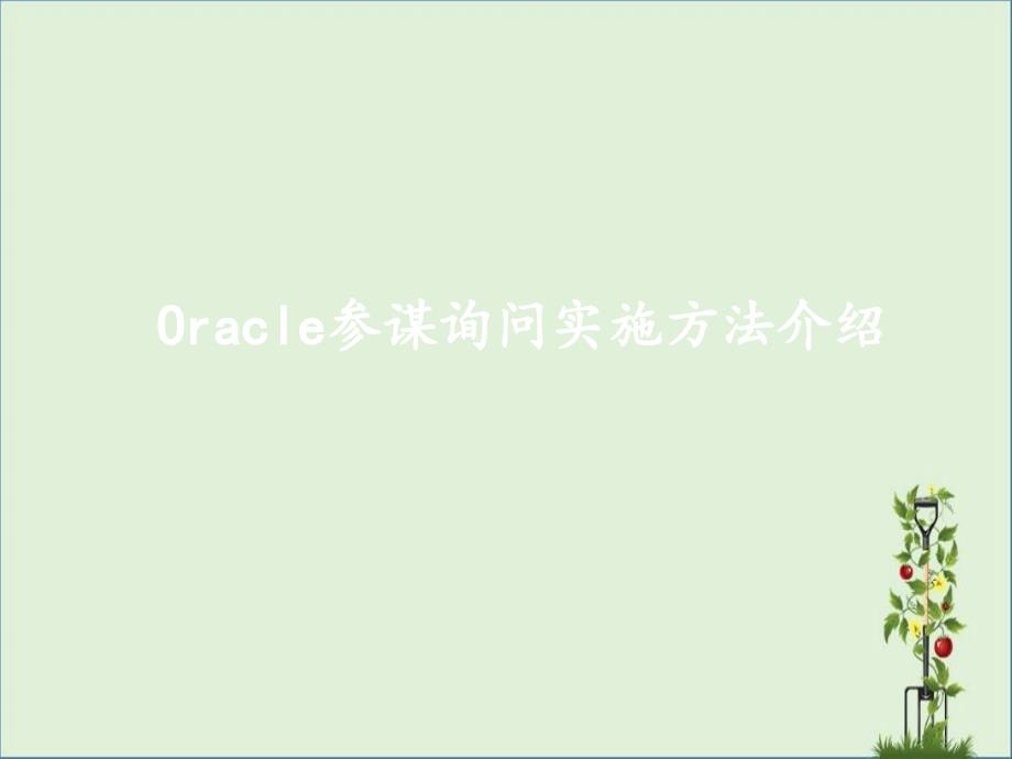 oracle顾问咨询实施方法介绍解读_第1页