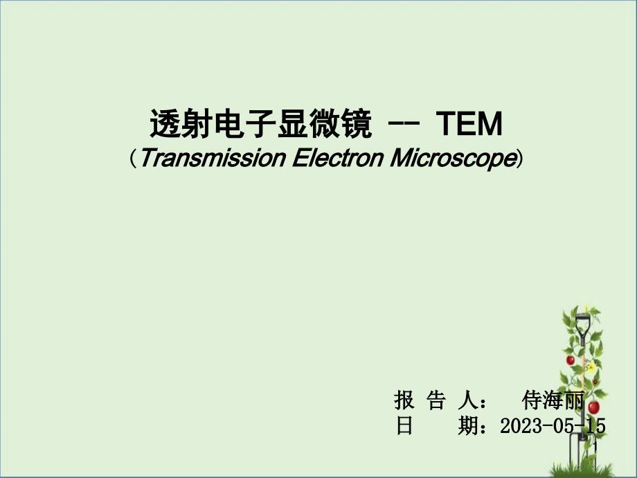 TEM-的原理_第1页