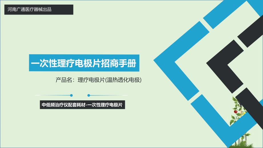 一次性理疗电极片(温热透话电极)招商手册_第1页