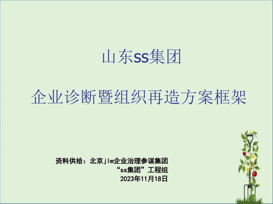 XX集团组织再造建议书框架(终稿)全解_第1页