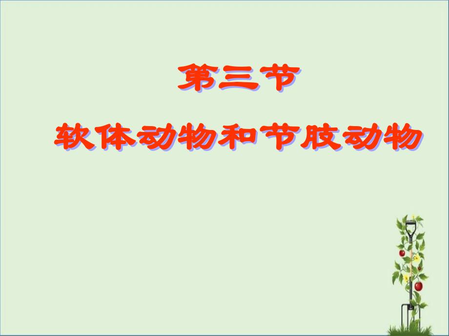 一三节软体动物和节肢动物要点_第1页