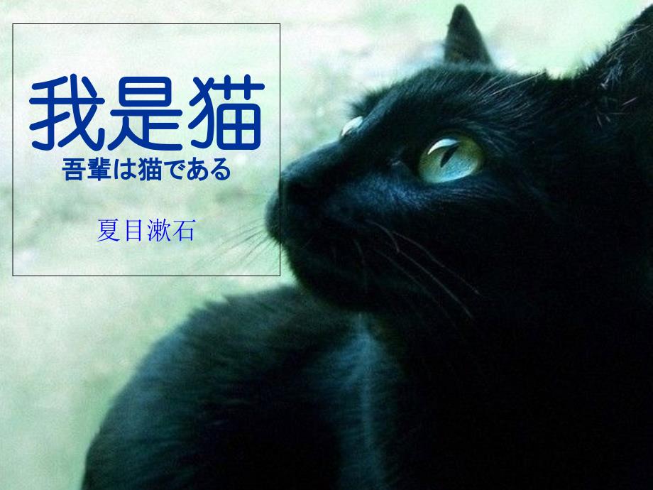 我是猫 夏目漱石_第1页