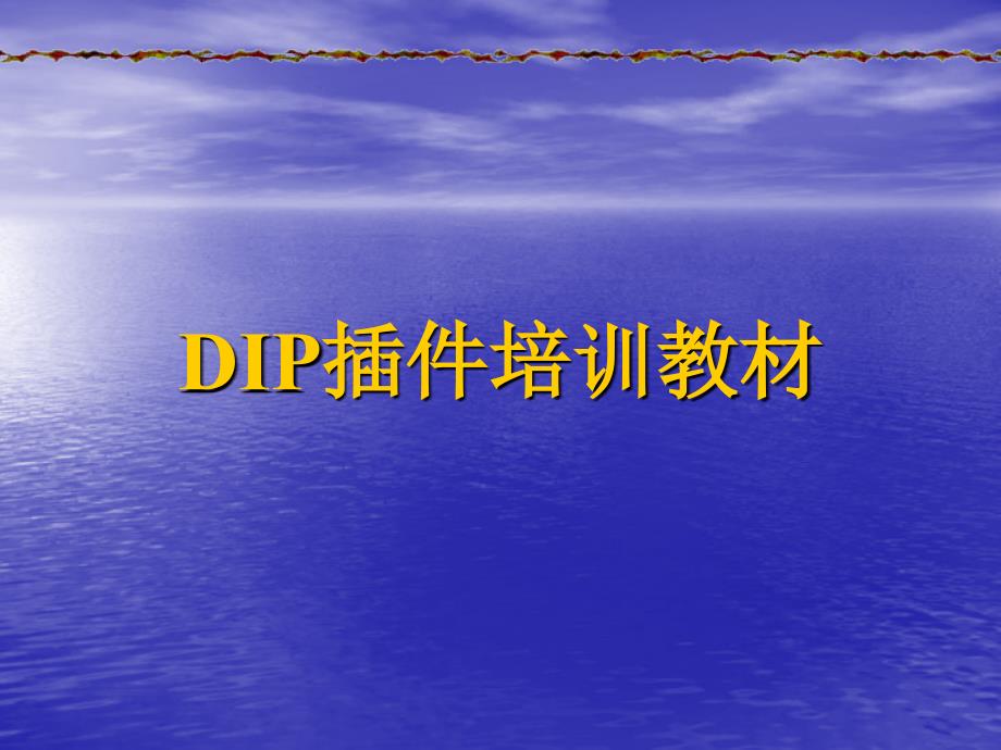 DIP插件培训教材_第1页