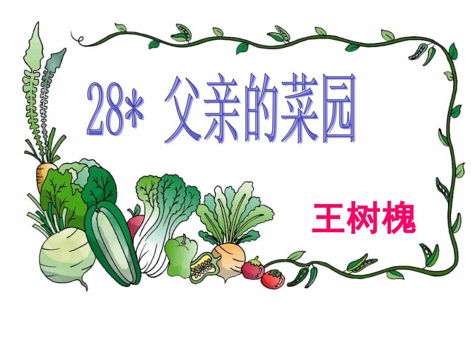 28父亲的菜园p(虞大明课)_第1页