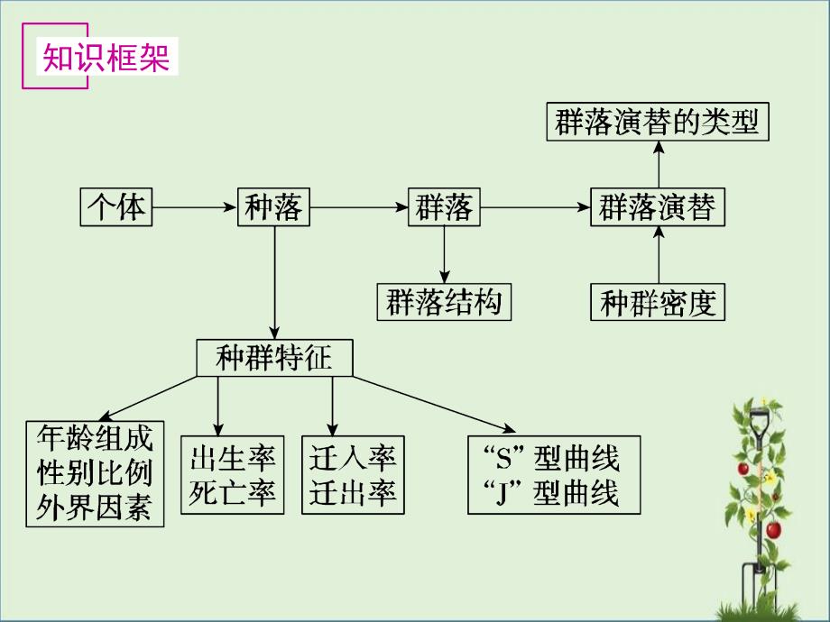 专题六生态系统_第1页