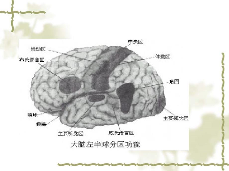 第一章记忆与遗忘_第1页