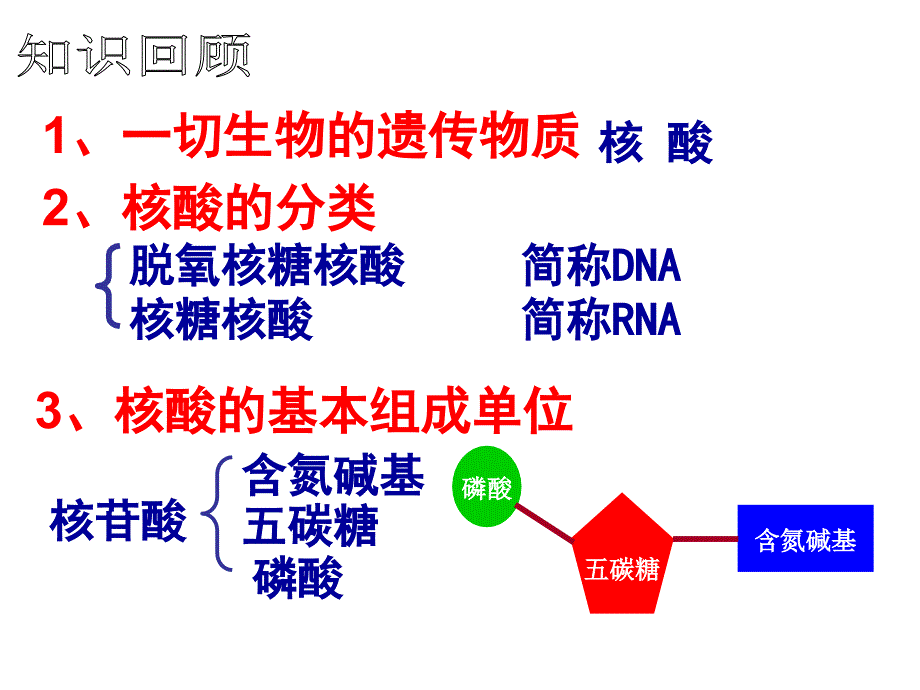 DNA分子结构(学案式)精讲_第1页