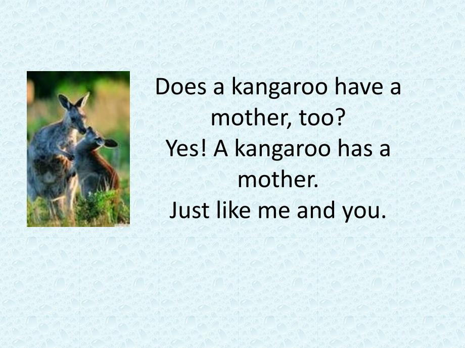 does-a-kangroo-have-a-mother(自制)_第1页