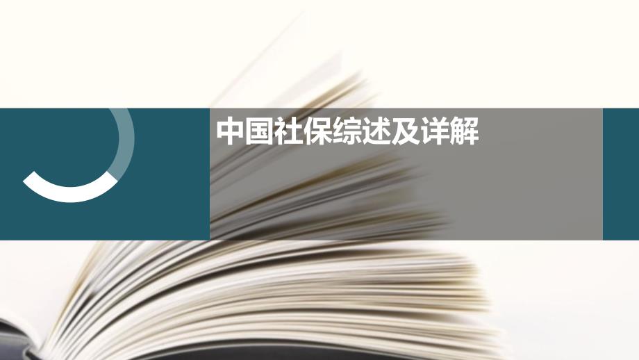 中国社保综述及详解分解_第1页