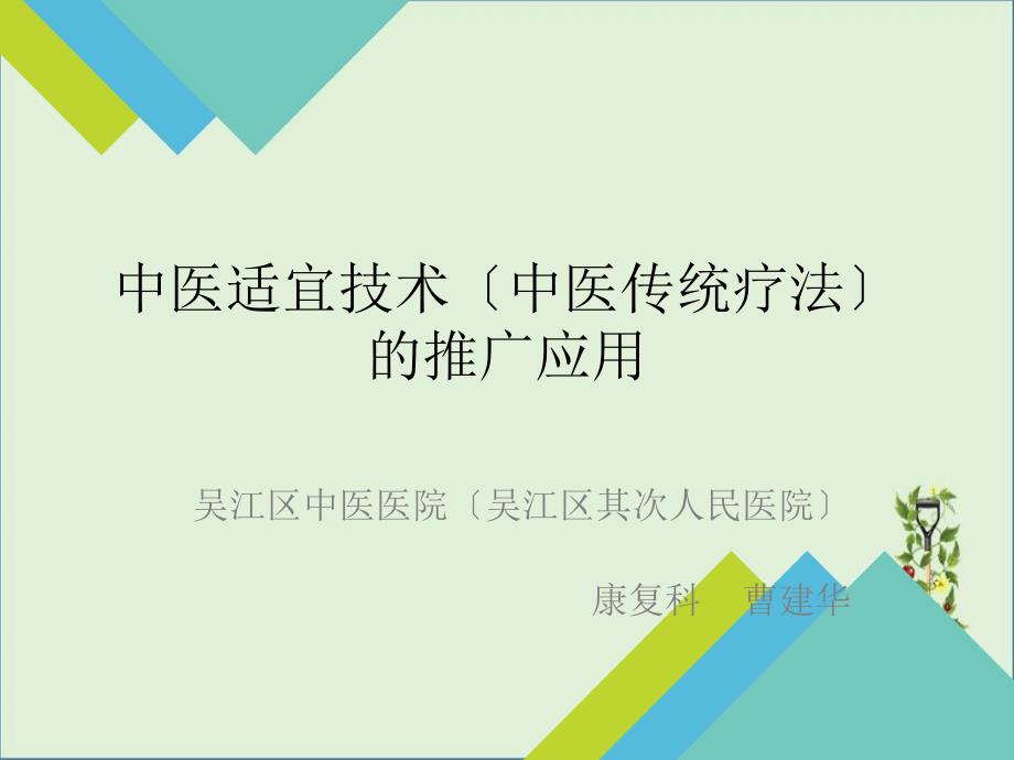 中医适宜技术(中医传统疗法)的推广应用辩析_第1页