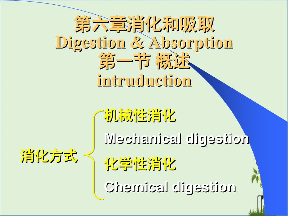 中国医科大学生理学-06消化吸收_第1页