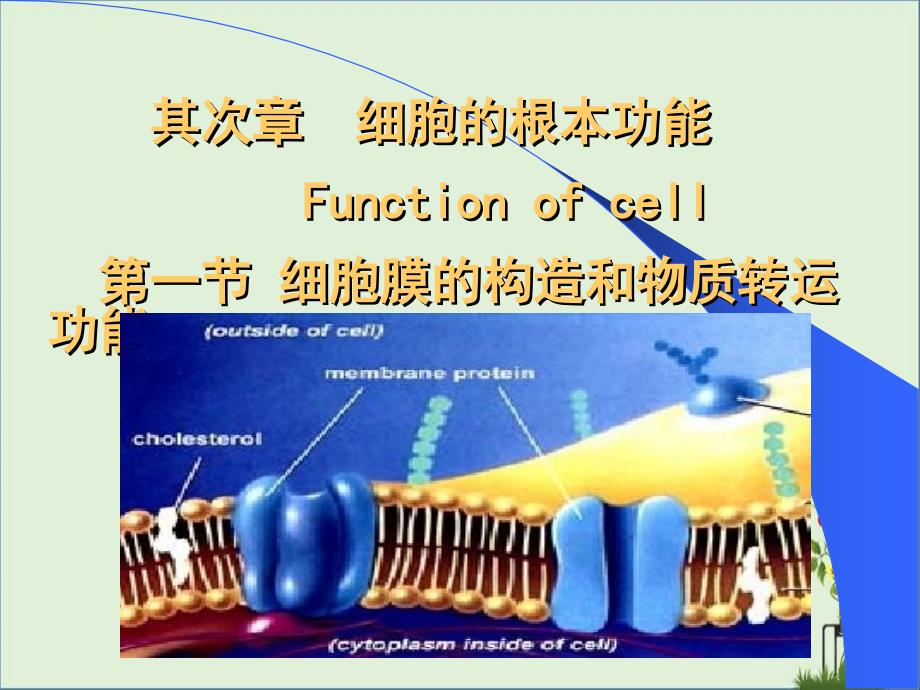 中国医科大学生理学-02细胞的基本功能_第1页