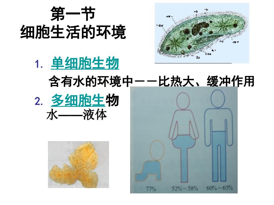 文科会考参与福建生物会考考纲编写老师的必修3第1章人体的内环境与稳态复习_第1页