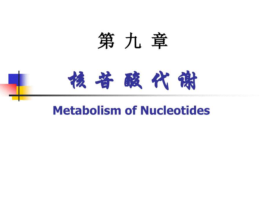 9核苷酸代谢第16章物质代谢的调节控制161物质代谢的相互联系_第1页