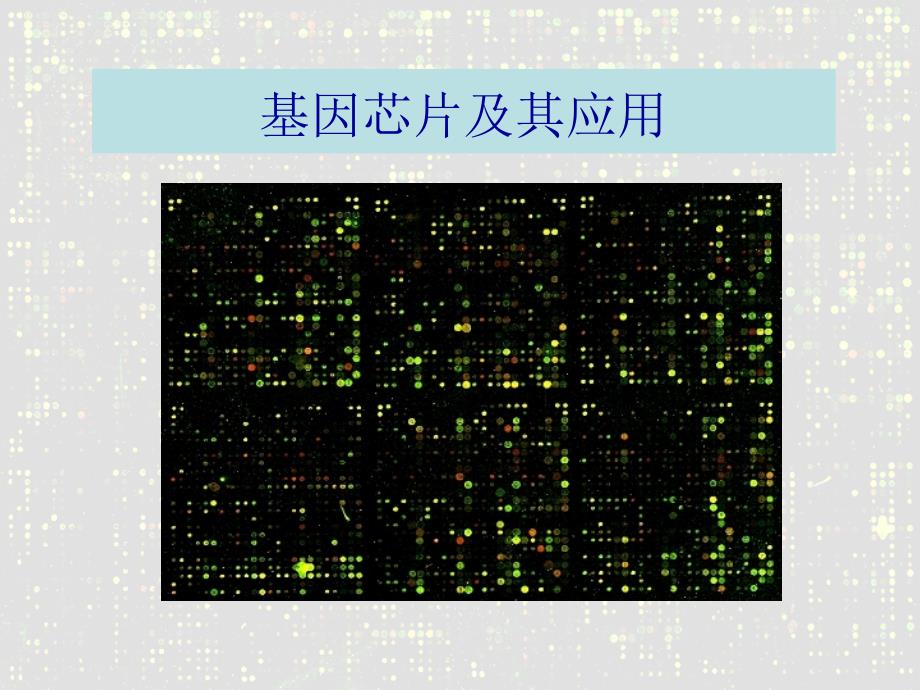 基因芯片.ppt_第1页