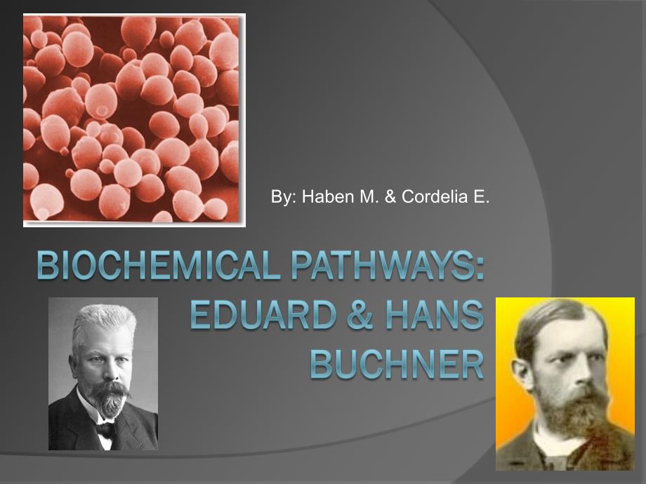 Biochemical Pathways Eduard amp; Hans Buchner_第1页