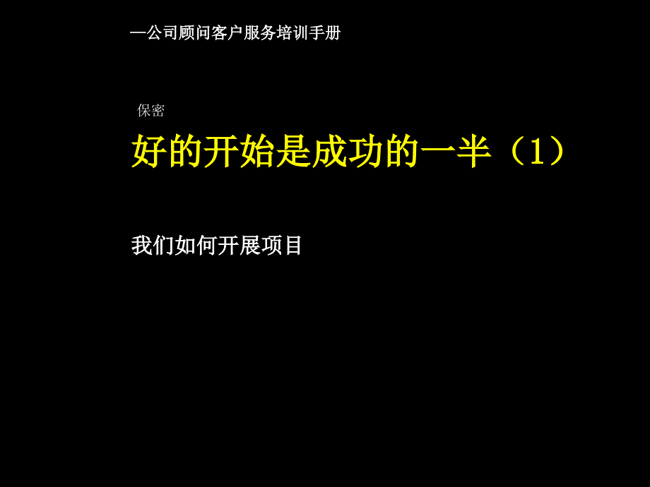 如何开展项目PPT_第1页