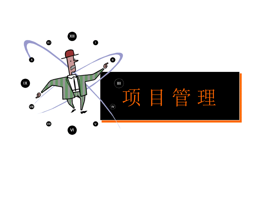 项目管理（PPT 28页）_第1页