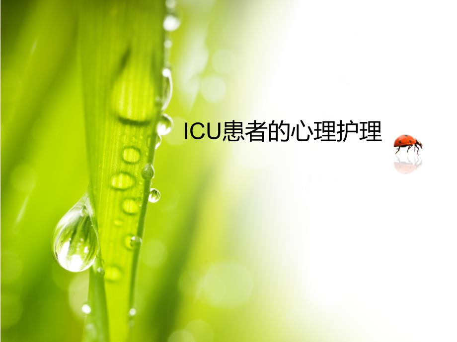 ICU患者的心理护理.ppt_第1页