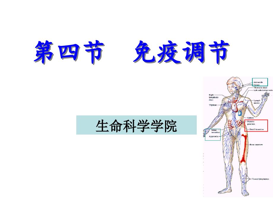 免疫调节(试讲)PPT_第1页