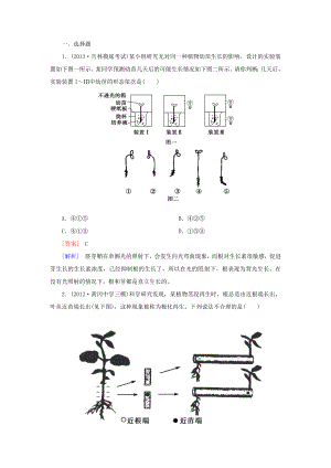 高三生物二輪復(fù)習(xí)專題突破系列 植物激素調(diào)節(jié)