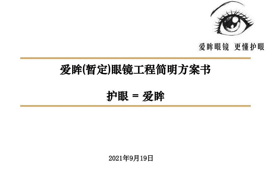 眼镜项目简明计划书_第1页