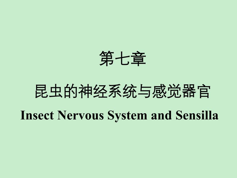 第七章—昆虫的神经系统与感觉器官_第1页