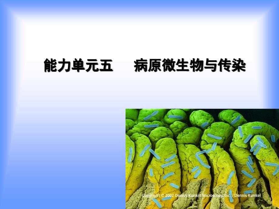 生物课件能力单元五病原微生物与传染_第1页