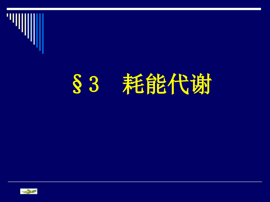 第六章 微生物的代谢 第三节 耗能代谢_第1页