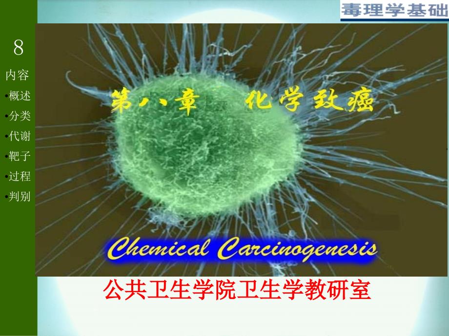 化学致癌作用及其评价_第1页