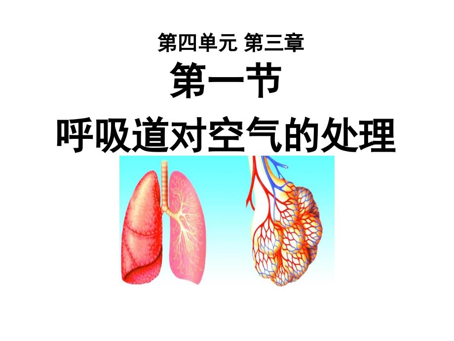 教学课件PPT呼吸道对空气的处理_第1页