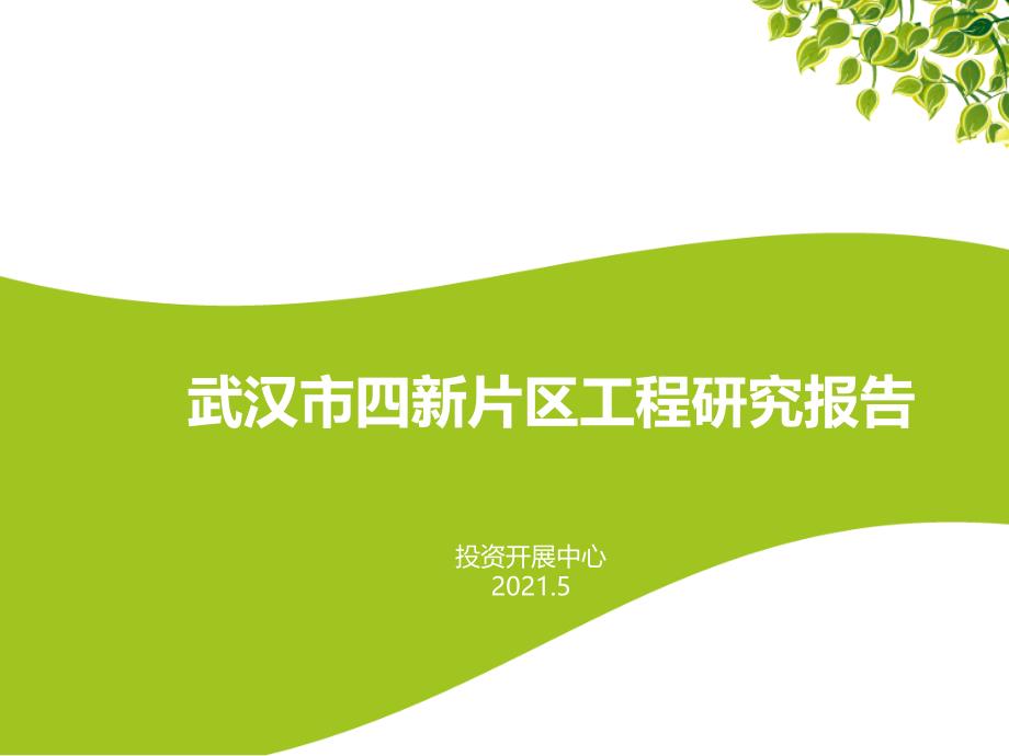 5月武汉四新片区项目可研分析报告48_第1页