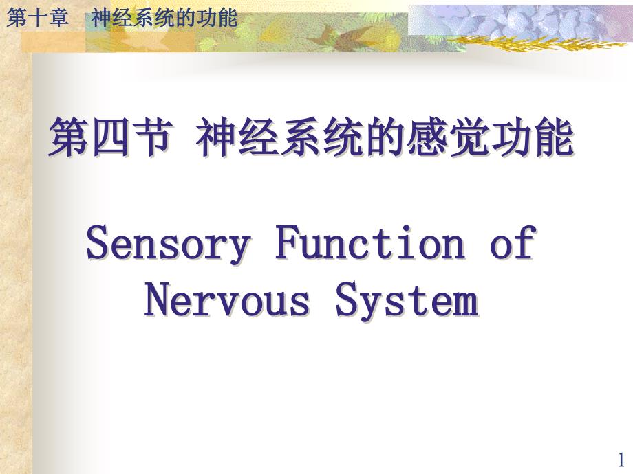 神经系统的感觉功能_第1页