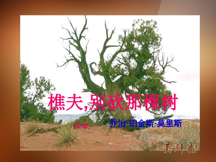 公开课教案教学设计课件语文版初中语文八下《樵夫-别砍那棵树》PPT课件_第1页