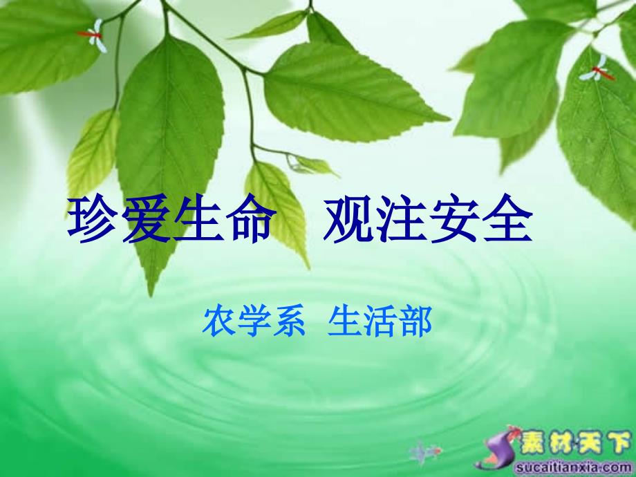 珍爱生命观注安全_第1页