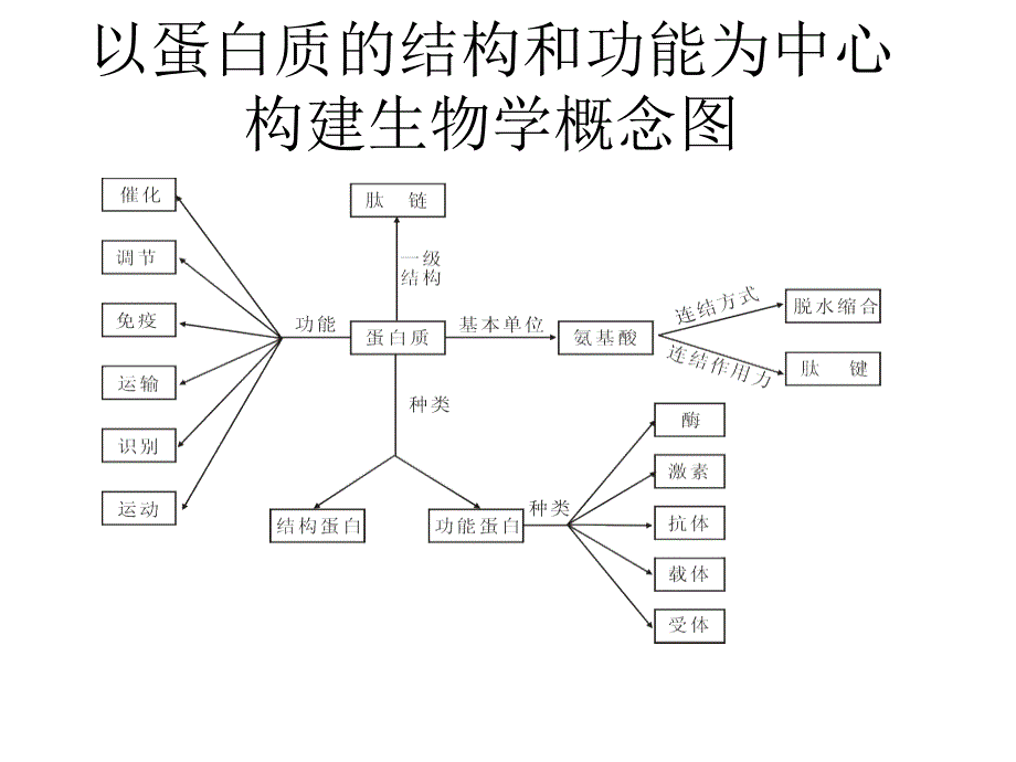 蛋白质构成及细胞膜系统概念_第1页