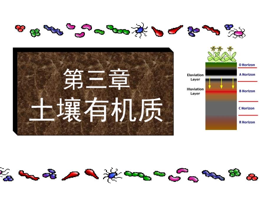 土壤学第三章土壤有机质课件_第1页