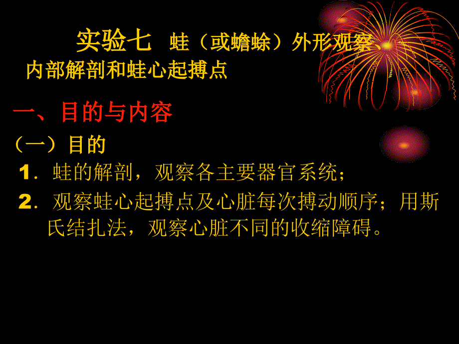 实验七--蛙(或蟾蜍)外形观察、内部解剖和蛙心起搏点课件_第1页