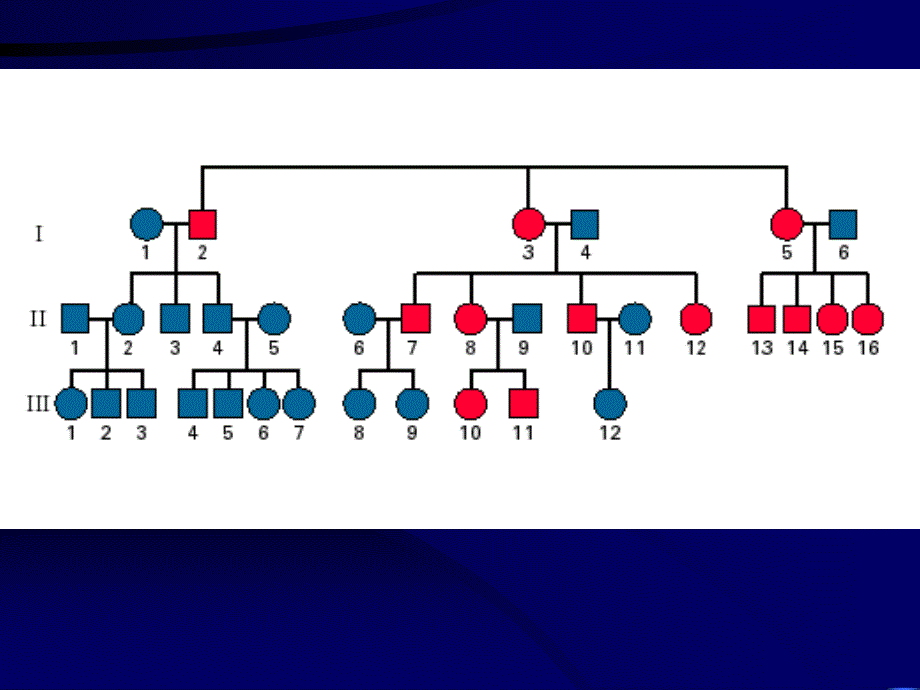 遗传学线粒体遗传病课件_第1页