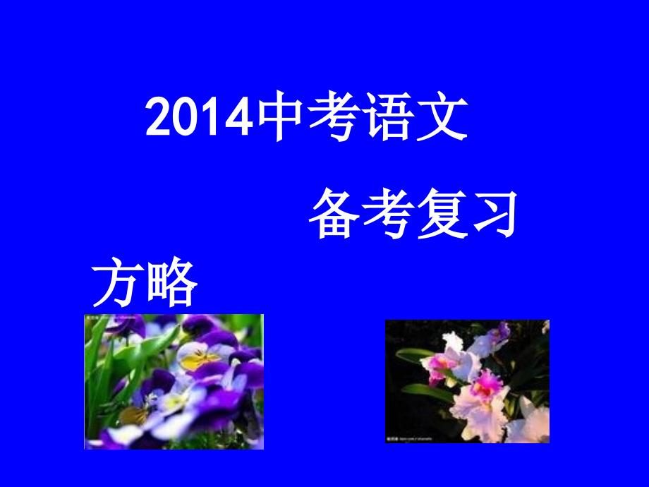 《中考总复习》2023中考语文复习方略2新_第1页