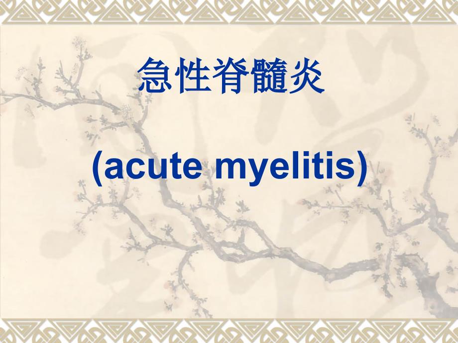 急性脊髓炎(acute-myelitis)课件_第1页