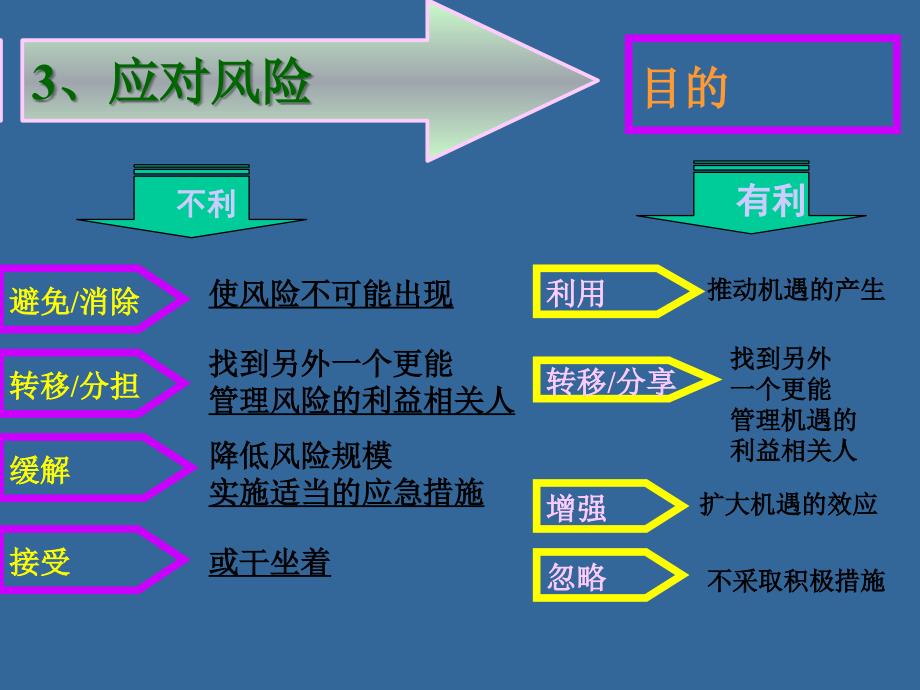 (精品)风险规划与控制_第1页