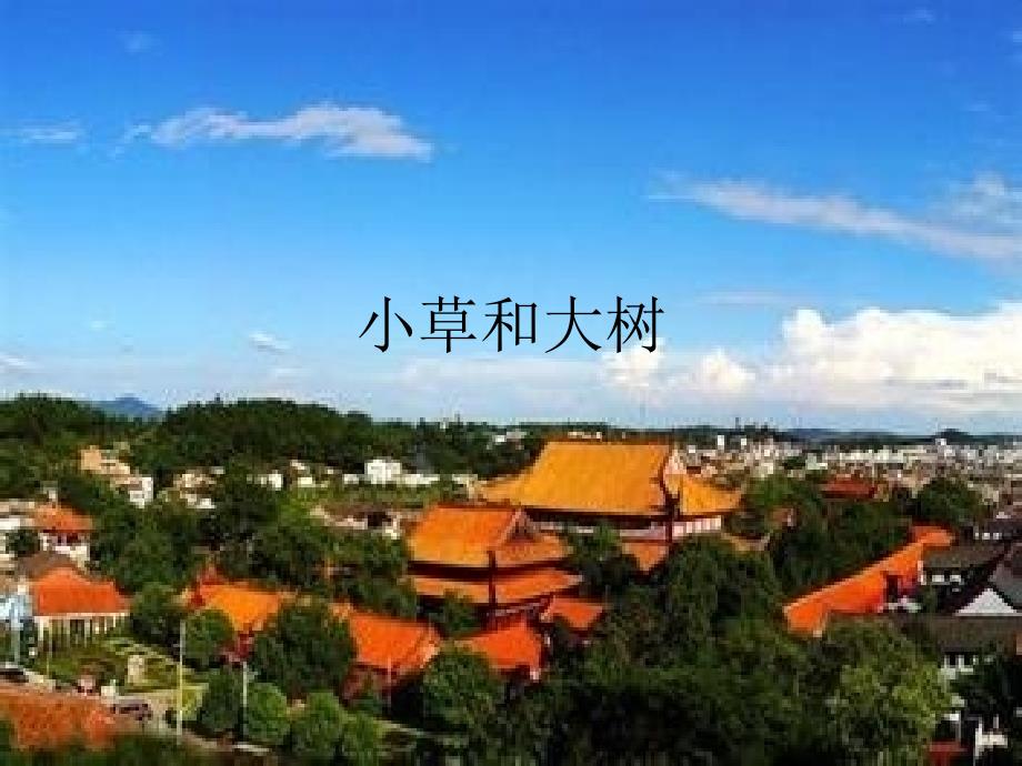 六年级科学《小草和大树》(教育精品)_第1页