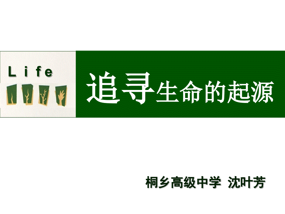 桐乡高级中学沈叶芳_第1页