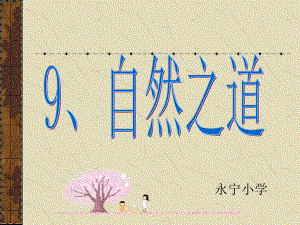 人教版小學(xué)四年級下冊語文自然之道第一課時教學(xué)